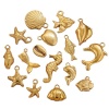 Image de 2 Pcs Breloques en 304 Acier Inoxydable Placage sous Vide Bijoux d'Océan Escargot de Mer Plaqué Or 18K Etoile de Mer