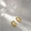 Picture of Wholesale Stylish Dainty Hoop Earrings, 304 Stainless Steel, Women's Eco-friendly Gift Jewelry Supply