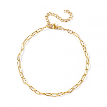 Immagine di 304 Acciaio Inossidabile Catena a Graffetta Cavigliere All'Ingrosso, Multicolore Ecologico, Donne Elegante Minimalista Regalo Fornitura di Gioielli, 1 Pz