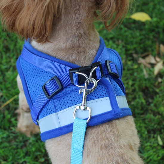 Picture of Polyester Pet Vest Chest Strap Traction Rope Leash Harness Multicolor