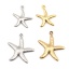 Imagen de Acero Inoxidable Joyería del océano Colgantes Charms Estrella de mar Chapado en Oro 22mm x 20mm, 10 Unidades