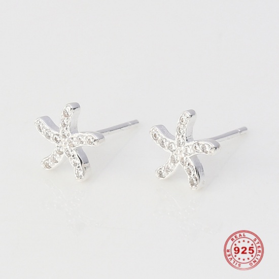 Изображение Sterling Silver Ocean Jewelry Ear Post Stud Earrings Silver Star Fish 6mm x 6mm, Post/ Wire Size: (21 gauge), 1 Pair