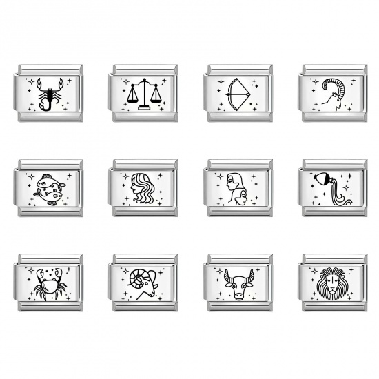 Picture of 304 Stainless Steel Exquisite Italian Charm Links For DIY Bracelet Jewelry Making Silver Tone Rectangle Zodiac Constellation 10mm x 9mm