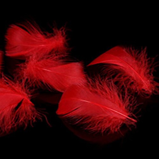 Picture of DIY Handmade Craft Materials Accessories Red Feather 10cm - 7cm, 1 Packet (Approx 100 PCs/Packet)