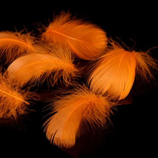 Immagine di Accessori per materiali artigianali fatti a mano fai-da-te Arancione Piuma 10cm - 7cm, 1 Pacchetto (Circa 100 Pz/Pacchetto)