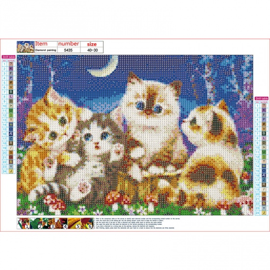 Picture of Resin Embroidery DIY Kit Diamond Painting Rhinestone Rectangle Multicolor Cat 40cm x 30cm, 1 Set