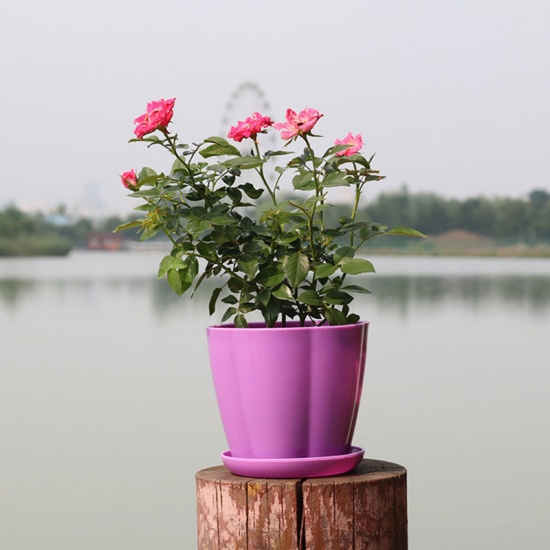 Picture of Purple - Style1 Colorful resin Flower Pots Round Planters Pot Trays Plastic Pots Creative Small Pots For Succulent Plants Garden Décor