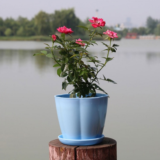 Picture of Blue - Style4 Colorful resin Flower Pots Round Planters Pot Trays Plastic Pots Creative Small Pots For Succulent Plants Garden Décor