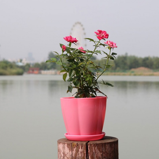 Picture of Pink - Style9 Colorful resin Flower Pots Round Planters Pot Trays Plastic Pots Creative Small Pots For Succulent Plants Garden Décor