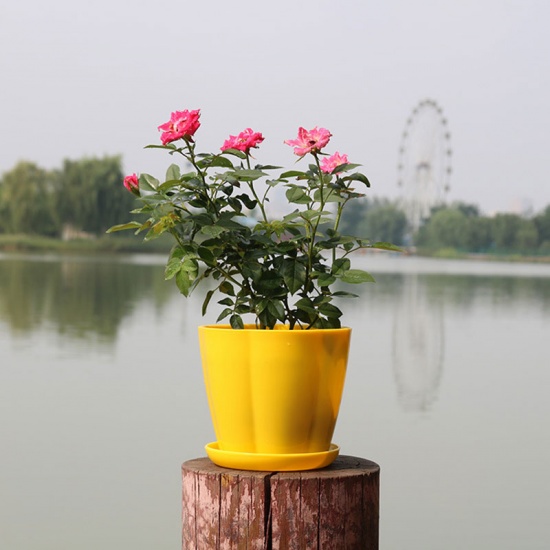 Image de Jaune - Style15 Pots de fleurs en résine colorée Planteurs ronds Plateaux de pots Pots en plastique Petits pots créatifs pour plantes succulentes Décor de jardin