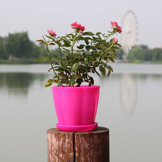 Picture of Fuchsia - Style17 Colorful resin Flower Pots Round Planters Pot Trays Plastic Pots Creative Small Pots For Succulent Plants Garden Décor