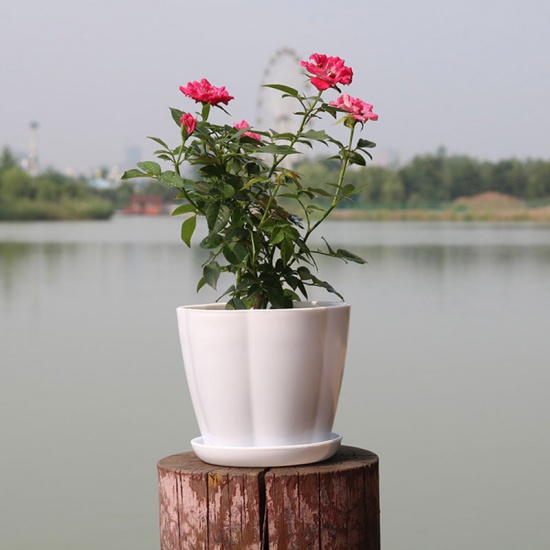 Image de Blanc - Style36 Pots de fleurs en résine colorée Planteurs ronds Plateaux de pots Pots en plastique Petits pots créatifs pour plantes succulentes Décor de jardin