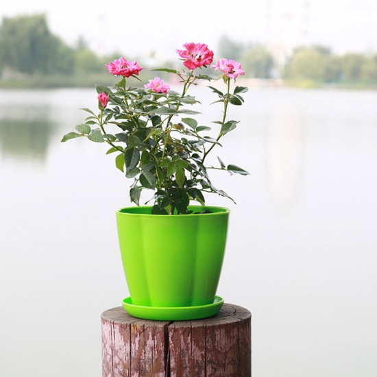 Picture of Green - Style40 Colorful resin Flower Pots Round Planters Pot Trays Plastic Pots Creative Small Pots For Succulent Plants Garden Décor