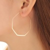 Picture of Stainless Steel Hoop Earrings Gold Plated Polygon 48mm x 48mm, 1 Pair