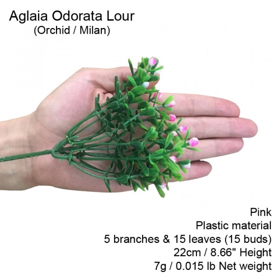 Immagine di Plastica Fiore Artificiale Verde 22cm, 1 Pz
