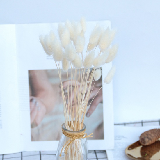 Immagine di Fiore Reale Secchi Fiore Artificiale Bianco 55cm , 1 fascio ( 20 Pz/fascio)