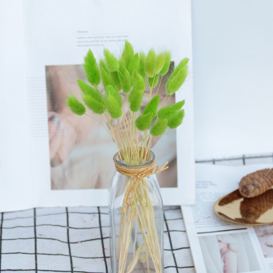 Picture of Real Dried Flower Artificial Flower Home Decoration Green 55cm, 1 Bundle ( 20 PCs/Bundle)