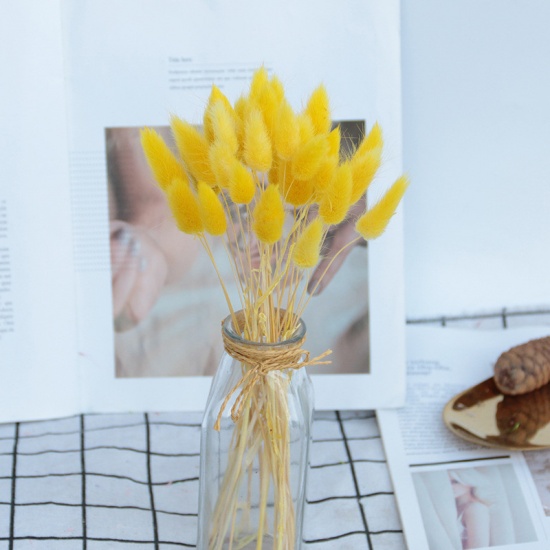 Picture of Real Dried Flower Artificial Flower Home Decoration Yellow 55cm, 1 Bundle ( 20 PCs/Bundle)