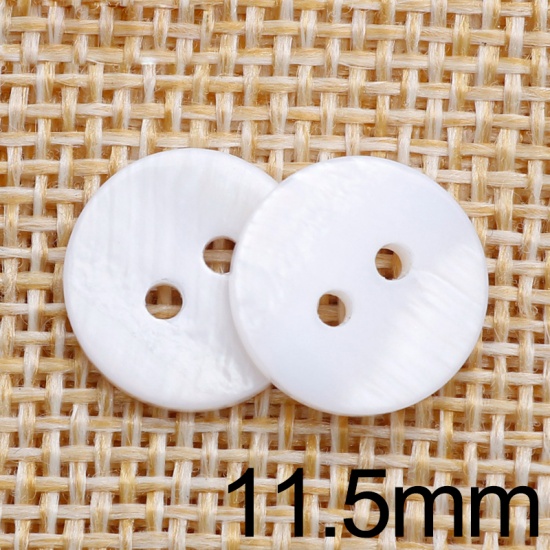 Immagine di Conchiglia Bottone da Cucire Scrapbook Due Fori Tondo Bianco 11.5mm Dia, 50 Pz