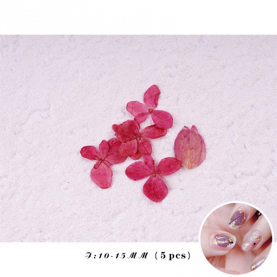 Изображение Real Dried Flower Nail Art Decoration DIY Craft Hot Pink 1 Set ( 5 PCs/Set)