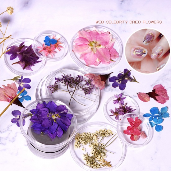 Immagine di Real Dried Flower Nail Art Decoration DIY Craft Hot Pink 1 Set ( 5 PCs/Set)