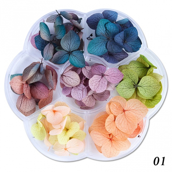 Picture of Real Dried Flower Nail Art Decoration DIY Craft Mixed Color 1 Box ( 45 - 50 PCs/Box)