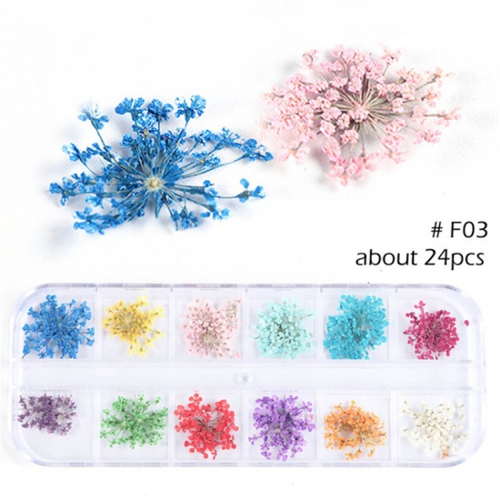 Immagine di Real Dried Flower Nail Art Decoration DIY Craft Mixed Color 1 Box