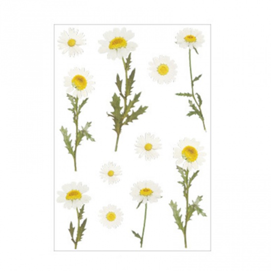 Picture of DIY Scrapbook Deco Stickers White & Yellow Daisy Flower 15cm x 10.5cm, 1 Set