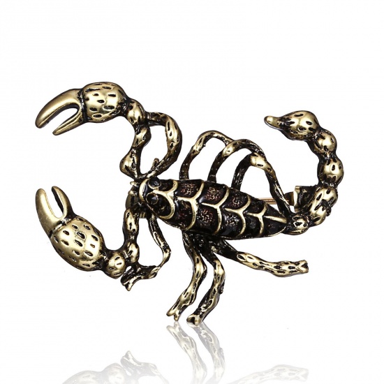 Picture of Retro Pin Brooches Insect Animal Scorpion Gold Tone Antique Gold 3.4cm x 2.5cm, 1 Piece