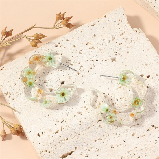 Picture of Handmade Resin Jewelry Real Flower Hoop Earrings Green C Shape Flower 3.6cm x 3.5cm, 1 Pair