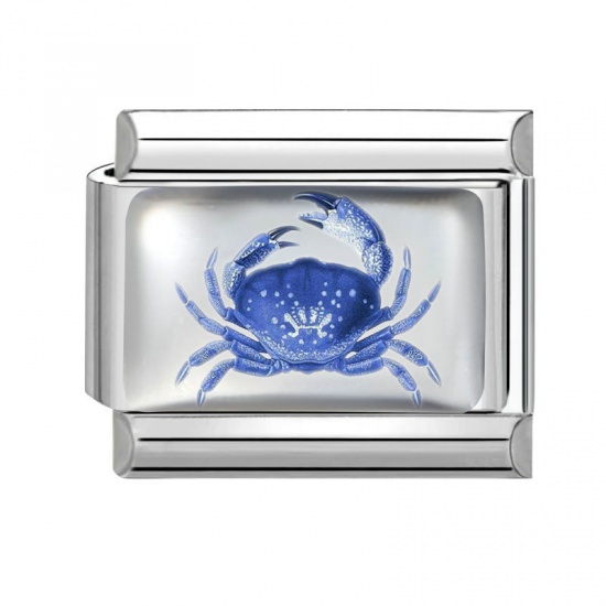 Picture of 1 Piece 304 Stainless Steel Exquisite Italian Charm Links For DIY Bracelet Jewelry Making Silver Tone Blue Rectangle Crab 10mm x 9mm
