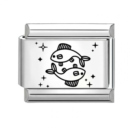 Picture of 1 Piece 304 Stainless Steel Exquisite Italian Charm Links For DIY Bracelet Jewelry Making Silver Tone Black Rectangle Pisces Sign Of Zodiac Constellations 10mm x 9mm