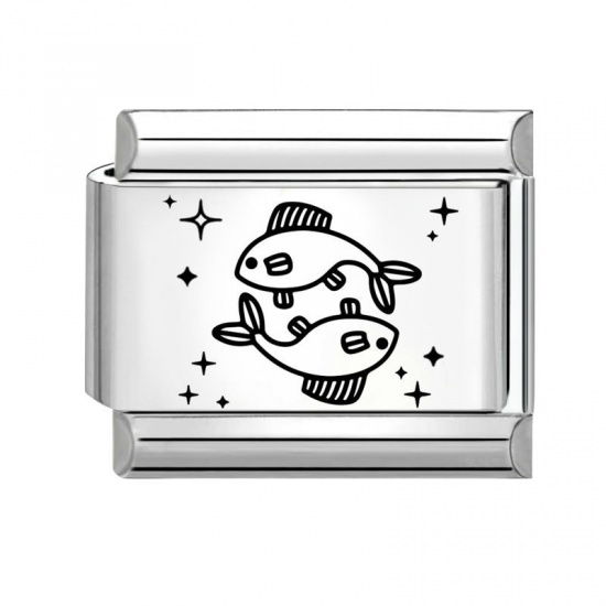 Picture of 1 Piece 304 Stainless Steel Exquisite Italian Charm Links For DIY Bracelet Jewelry Making Silver Tone Black Rectangle Pisces Sign Of Zodiac Constellations 10mm x 9mm