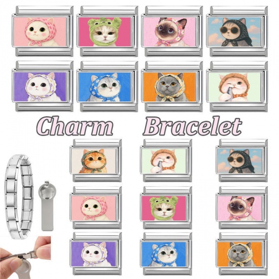 Picture of 1 Piece 304 Stainless Steel Italian Charm Links For DIY Bracelet Jewelry Making Silver Tone Multicolor Rectangle Cat 10mm x 9mm