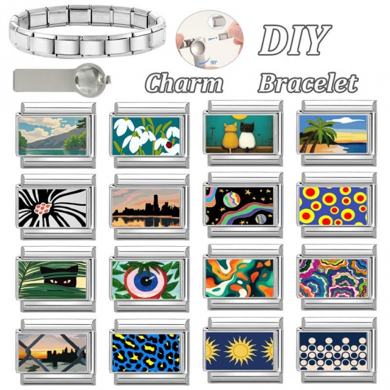 Picture of 1 Piece 304 Stainless Steel Italian Charm Links For DIY Bracelet Jewelry Making Wholesale Silver Tone Multicolor Rectangle Cat 10mm x 9mm