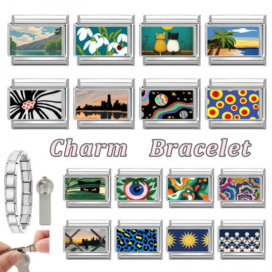 Picture of 1 Piece 304 Stainless Steel Italian Charm Links For DIY Bracelet Jewelry Making Wholesale Silver Tone Multicolor Rectangle Cat 10mm x 9mm