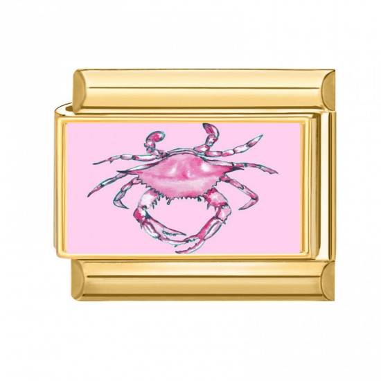 Immagine di 1 Pz 304 Acciaio Inossidabile Gioielli Oceanici Bracciale con Charm Italiano a Maglie, Creazione di Gioielli Fai-da-te All'Ingrosso Oro Placcato Rosa Rettangolo Granchio 10mm x 9mm