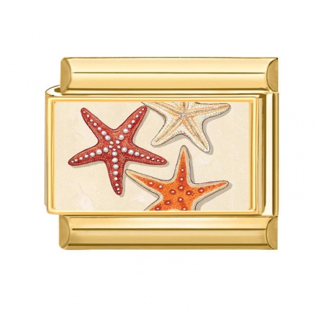 Immagine di 1 Pz 304 Acciaio Inossidabile Gioielli Oceanici Bracciale con Charm Italiano a Maglie, Creazione di Gioielli Fai-da-te All'Ingrosso Oro Placcato Multicolore Rettangolo Stella Marina 10mm x 9mm
