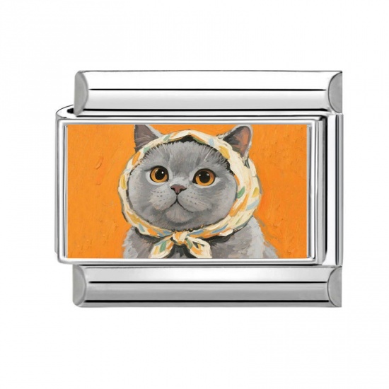 Picture of 1 Piece 304 Stainless Steel Italian Charm Links For DIY Bracelet Jewelry Making Wholesale Silver Tone Orange Rectangle Cat 10mm x 9mm