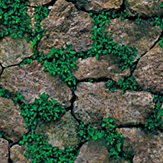 Bild von PVC Wohnkultur Wandabziehbild Aufkleber Blätter Moos Stein Grün 100cm x 45cm, 1 Blatt