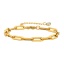 Immagine di 1 Pz Placcatura Sottovuoto Elegante Semplice 18K Vero Oro Placcato 304 Acciaio Inossidabile Catena a Graffetta Braccialetti Unisex Festa 16cm Lunghezza