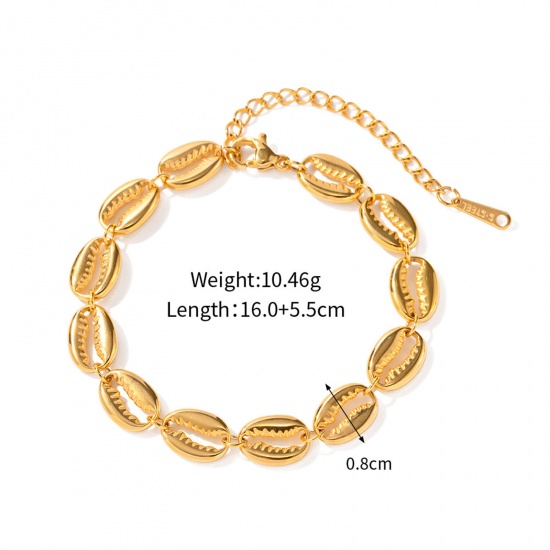 Immagine di Placcatura Sottovuoto Ecologica Semplice & Casual Elegante 18K Vero Oro Placcato 304 Acciaio Inossidabile Catena Conchiglia Braccialetti Per Donne 16cm Lunghezza, 1 Pz