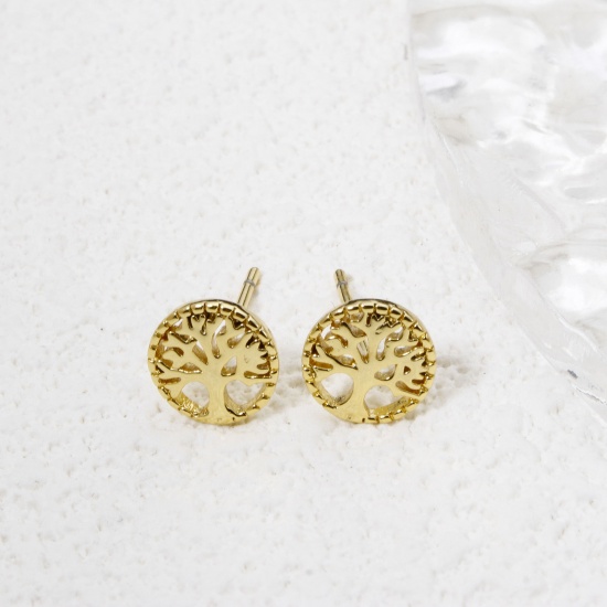 Imagen de 1 Par Respetuoso del Medio Ambiente Dulce & Lindo Elegante 18K Oro Real Chapado Latón Ronda Árbol de la Vida Hueco Pendientes Para Mujeres 7.5mm Dia.