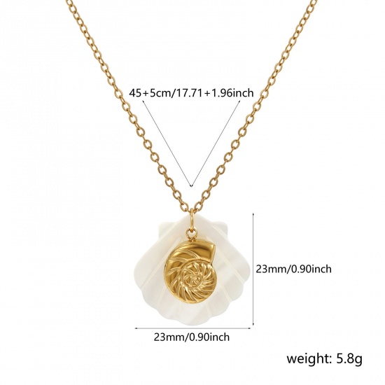 Immagine di 18K Vero Oro Placcato Catena a Cavo Conchiglia Collana con Ciondolo, 304 Acciaio Inossidabile & Conchiglie Naturali 45cm + 5cm, Per Donne, 3D, Squisito Gioielli Oceanici Regalo, Placcatura Sottovuoto PVD Ecologica, 1 Pz