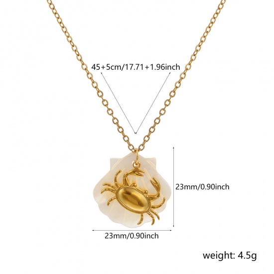 Immagine di 18K Vero Oro Placcato Catena a Cavo Granchio Collana con Ciondolo, 304 Acciaio Inossidabile & Conchiglie Naturali 45cm + 5cm, Per Donne, Squisito Gioielli Oceanici Regalo, Placcatura Sottovuoto PVD Ecologica, 1 Pz