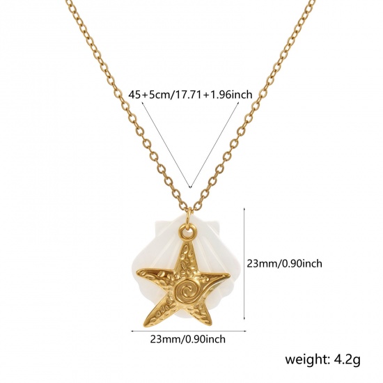 Immagine di 18K Vero Oro Placcato Catena a Cavo Stella di Mare Collana con Ciondolo, 304 Acciaio Inossidabile & Conchiglie Naturali 45cm + 5cm, Per Donne, Squisito Gioielli Oceanici Regalo, Placcatura Sottovuoto PVD Ecologica, 1 Pz