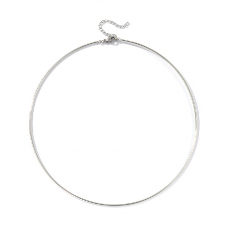 Immagine di Collana Girocollo All'Ingrosso, Tono Argento 304 Acciaio Inossidabile Unisex Ecologico Minimalista Regalo Gioielli Per Rivenditore, 40cm + 5cm Lunghezza, 1 Pz