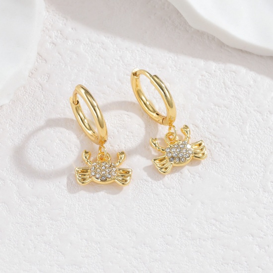Immagine di Gioielli Oceanici Pastorale Naturale Orecchino All'Ingrosso, Granchio Micro Spianare Placcato Oro 18K 304 Acciaio Inossidabile, Donne PVD Regalo Fornitura di Gioielli, 3cm x 1.4cm, 1 Paio