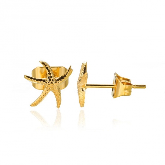 Immagine di Squisito Elegante Orecchini a Perno All'Ingrosso, Stella Marina Placcato Oro 18K 304 Acciaio Inossidabile, Donne Placcatura Sottovuoto Regalo Fornitura di Gioielli, 12mm x 11mm, 1 Paio