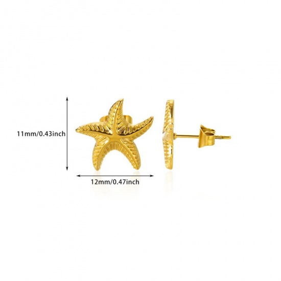 Immagine di Squisito Elegante Orecchini a Perno All'Ingrosso, Stella Marina Placcato Oro 18K 304 Acciaio Inossidabile, Donne Placcatura Sottovuoto Regalo Fornitura di Gioielli, 12mm x 11mm, 1 Paio